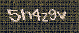 CAPTCHA_picture