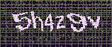 CAPTCHA_picture