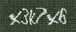 CAPTCHA_picture