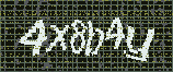 CAPTCHA_picture