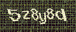CAPTCHA_picture