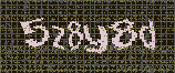 CAPTCHA_picture