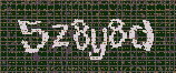 CAPTCHA_picture