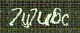 CAPTCHA_picture