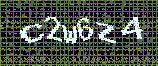 CAPTCHA_picture