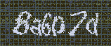 CAPTCHA_picture