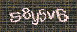 CAPTCHA_picture