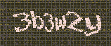 CAPTCHA_picture