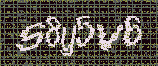 CAPTCHA_picture