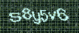 CAPTCHA_picture