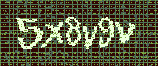 CAPTCHA_picture