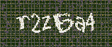 CAPTCHA_picture