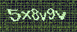 CAPTCHA_picture