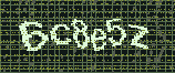 CAPTCHA_picture